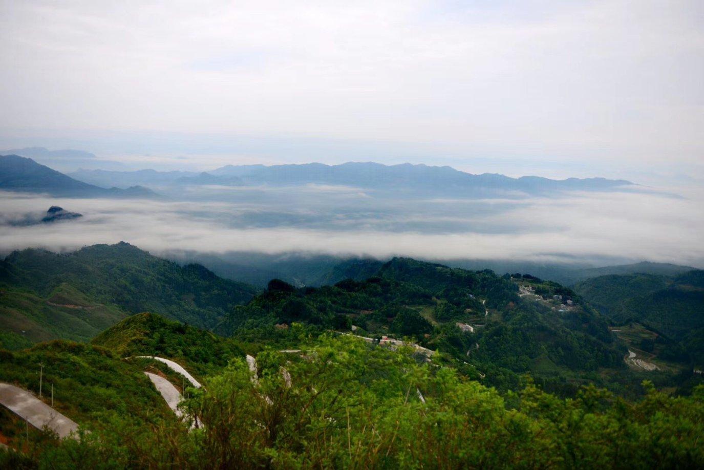 救援青龙