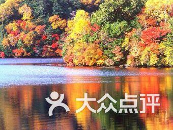 一个人手机拍照需要准备哪些道具？游戏画面