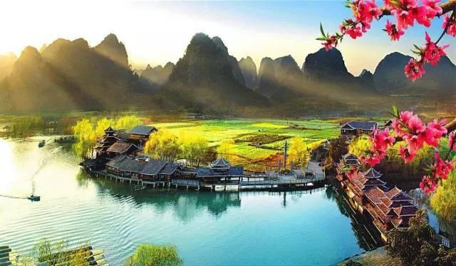 动物帮帮忙保卫家园