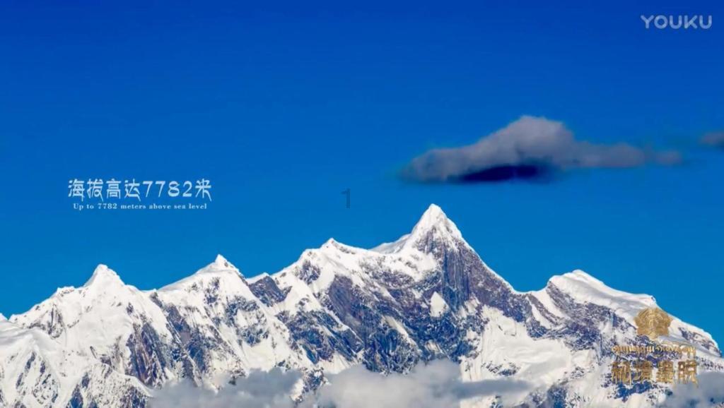 大专家来了丨北上广浙知名专家来并出诊信息（1月29日-2月4日）