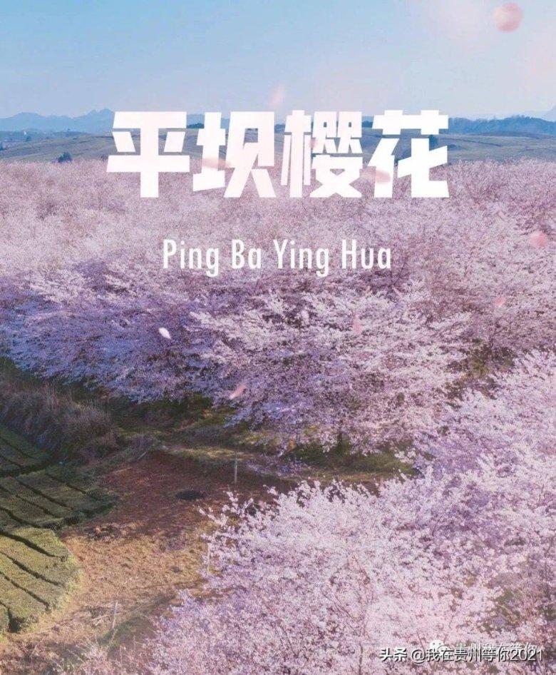 教你在家做五仁月饼，不用碱水，不转化糖浆，饼皮馅料详细讲解游戏画面