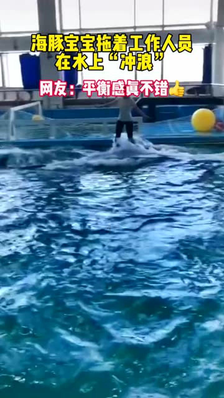 高原“土乡”举办民俗传统馍馍大赛喜迎新年