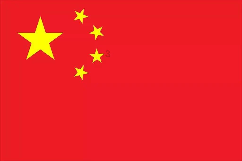 寻找萌宠松鼠