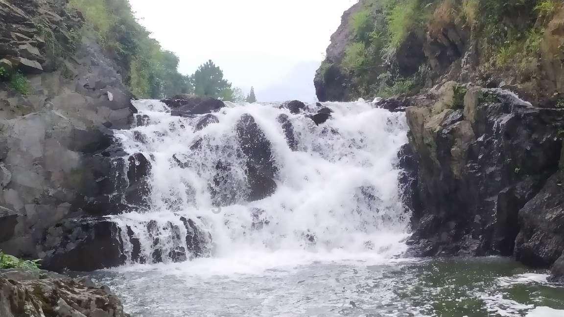 逃离未知丛林