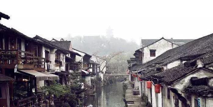 拯救可爱猫王
