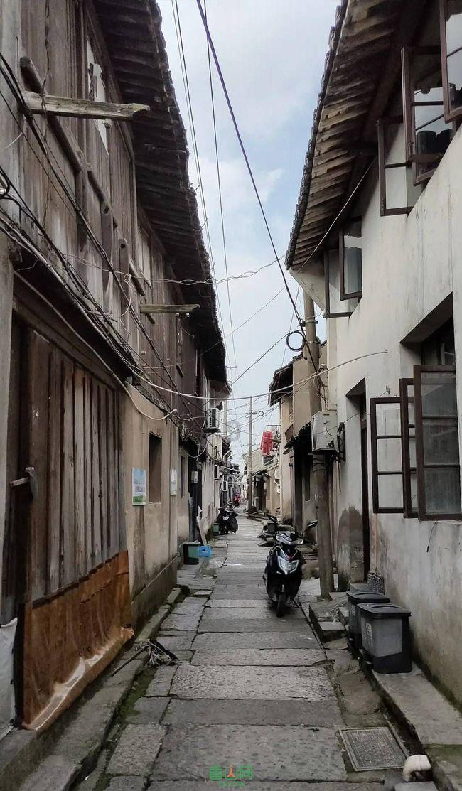 怪物大入侵中文版